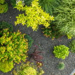 Landscaping tips