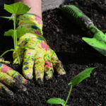 late spring planting gloves and tools