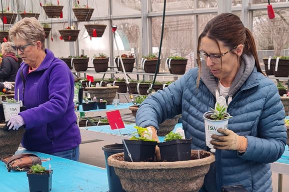 two women planting spring plants in a container full of potting soil