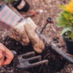 spring planting guide for when to plant outdoors
